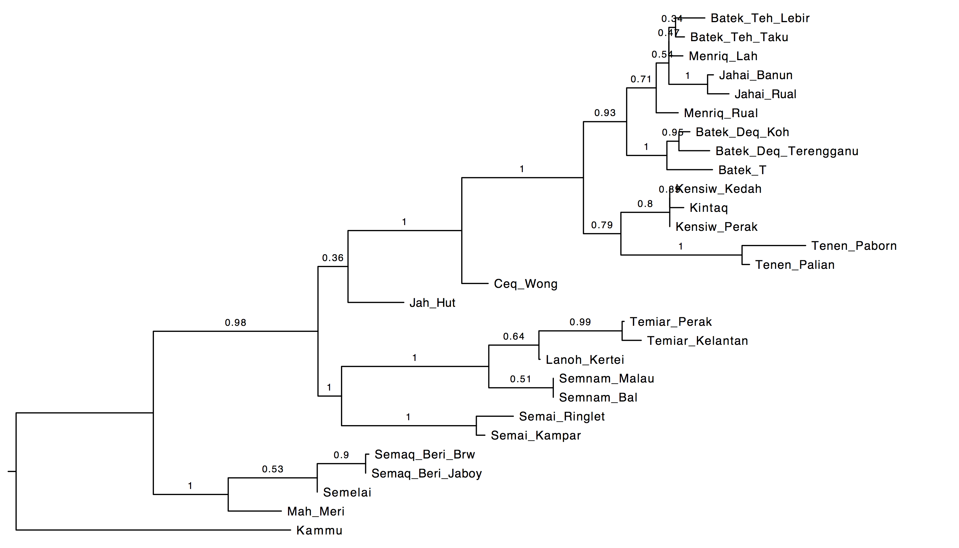 An Aslian family tree from a MCMC search with monophyly constraints
for the North Aslian and South Aslian families (drawing by FigTree with
posterior probabilities on
branches).